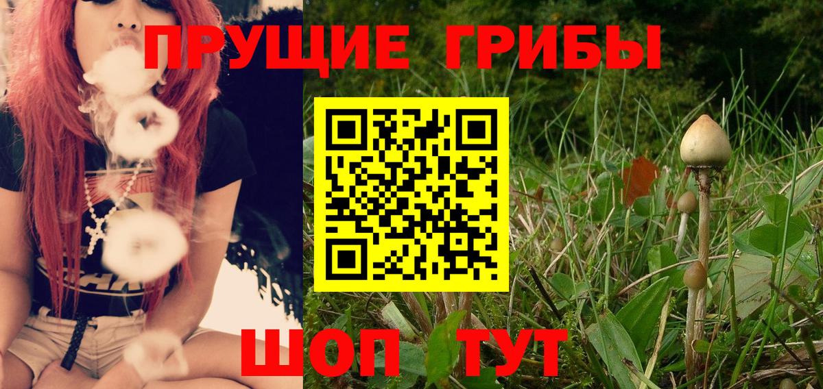 Псилоцибиновые грибы мицелий  Вход с VPN  Сочи 