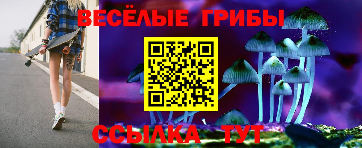 Галлюциногенные грибы прущие грибы Сочи
